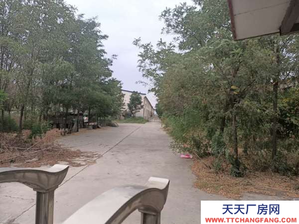 中衛市沙坡頭物資倉庫 出租沙坡頭旅游購物廣場