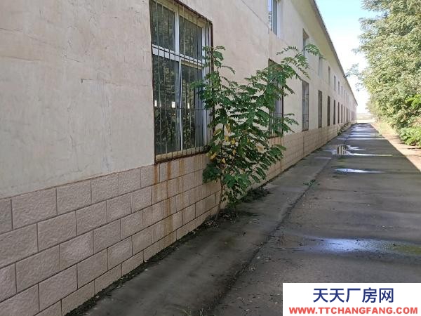 中衛市沙坡頭物資倉庫 有100到5000平方米多套