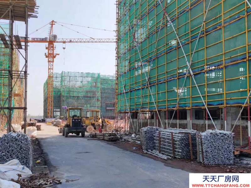 衢州市常山(出售) 紅本廠房，50年產(chǎn)權，兩證齊全