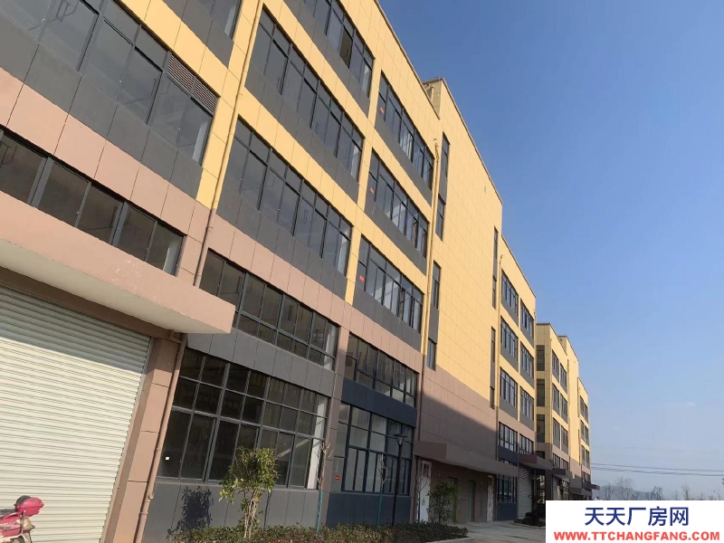 衢州市常山(出售) 標準廠房，4層，單層面積1200，一樓層高7.5米