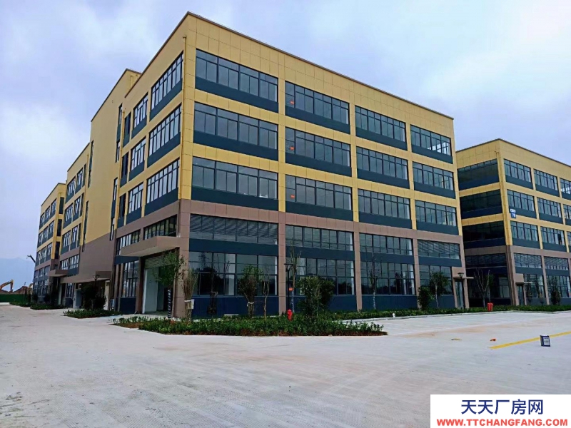 衢州市常山(出售) 標準廠房，4層，單層面積1200，一樓層高7.5米