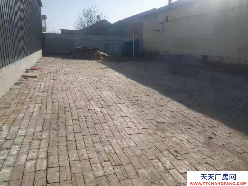 滄州 鹽山 (出租) 鹽山新發地東300米現有倉庫出租