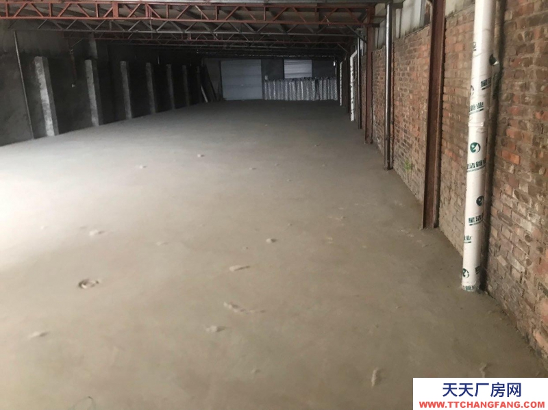 滄州 鹽山(出租) 適合倉庫、電商，二手車等多種用途