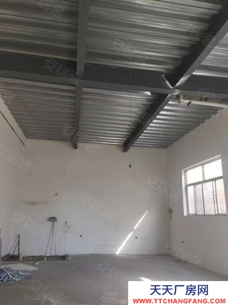 滄州 青縣(出租) (易幫源)青縣耿官屯工業區G104國道邊1100,1300平