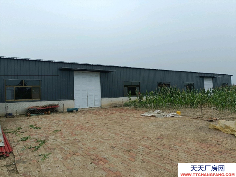 滄州 青縣(出租) 新建食醋廠房出租出售分租