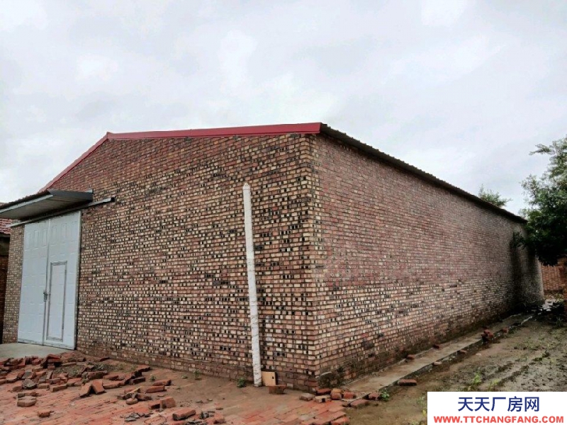 滄州 青縣(出租) 位于八里莊村中心，有三相電，交通便利。