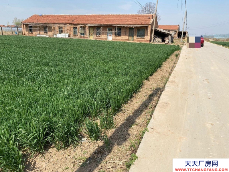 滄州 青縣(出租) 倉庫出租 交通便利 水電齊全 批發(fā)市場(chǎng)附近 帶院