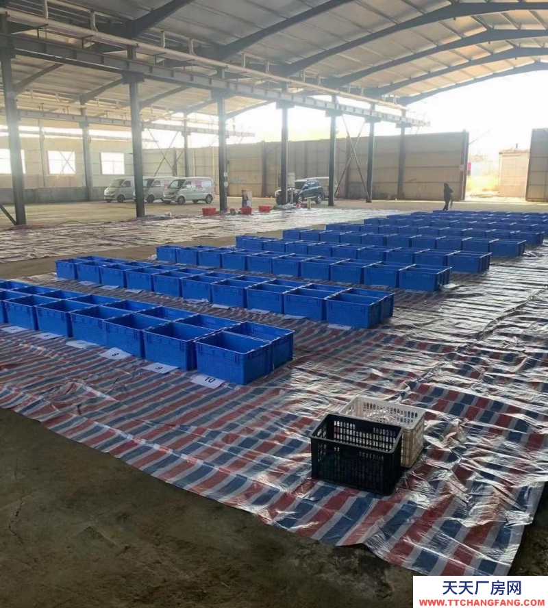 滄州 河間(出租) 河間開發區附近倉庫出租