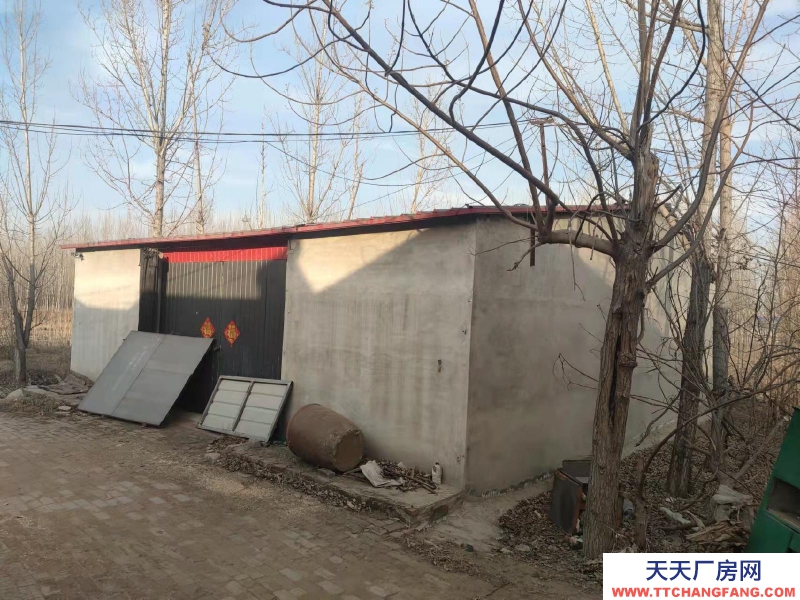 滄州 河間(出租) 西環附近，出入方便，水電齊全