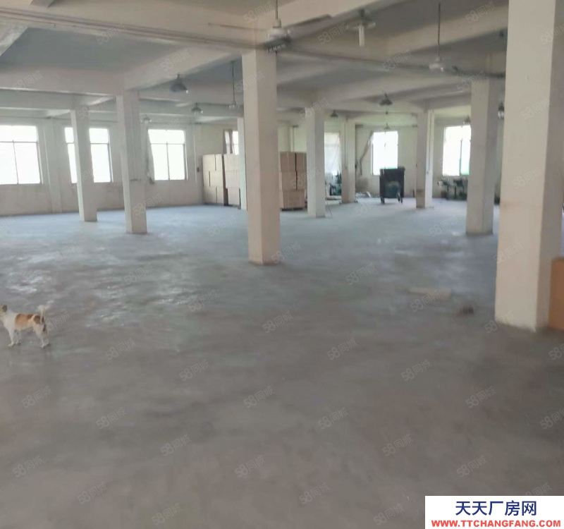 (出租) 潮州潮安彩塘金一村獨(dú)院一樓廠房900平方米可做生產(chǎn)經(jīng)營(yíng)