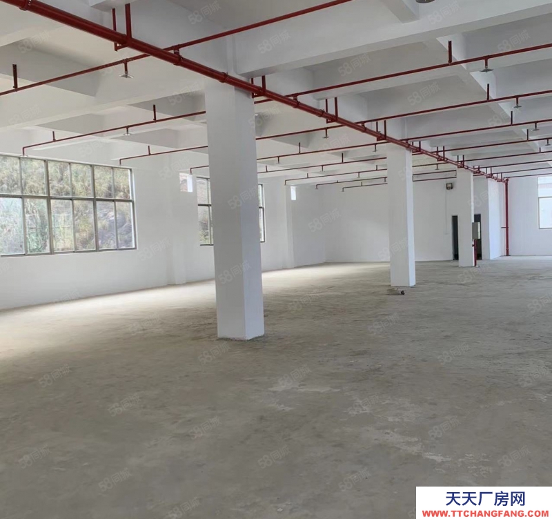 (出租) 潮州潮安小龍坑出租全新樓上樓下總1800平方廠房可做休閑食品