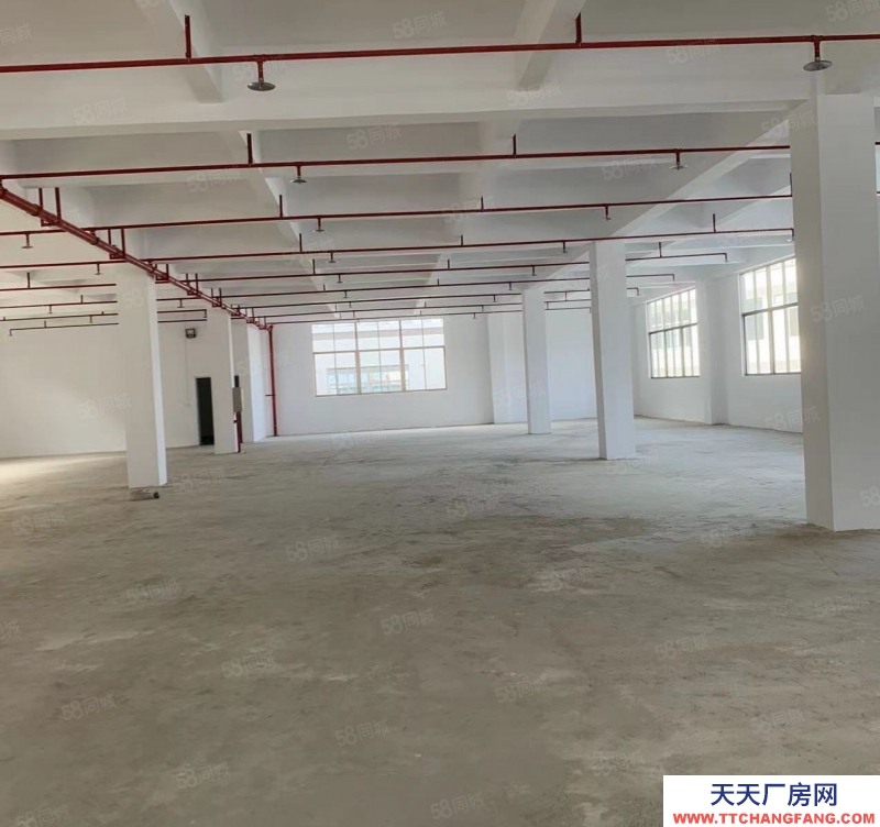 (出租) 潮州潮安小龍坑出租全新樓上樓下總1800平方廠房可做休閑食品