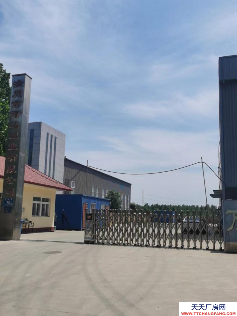 滄州 滄縣(出租) 出租滄州市經濟技術開發區12米高方便食品車間