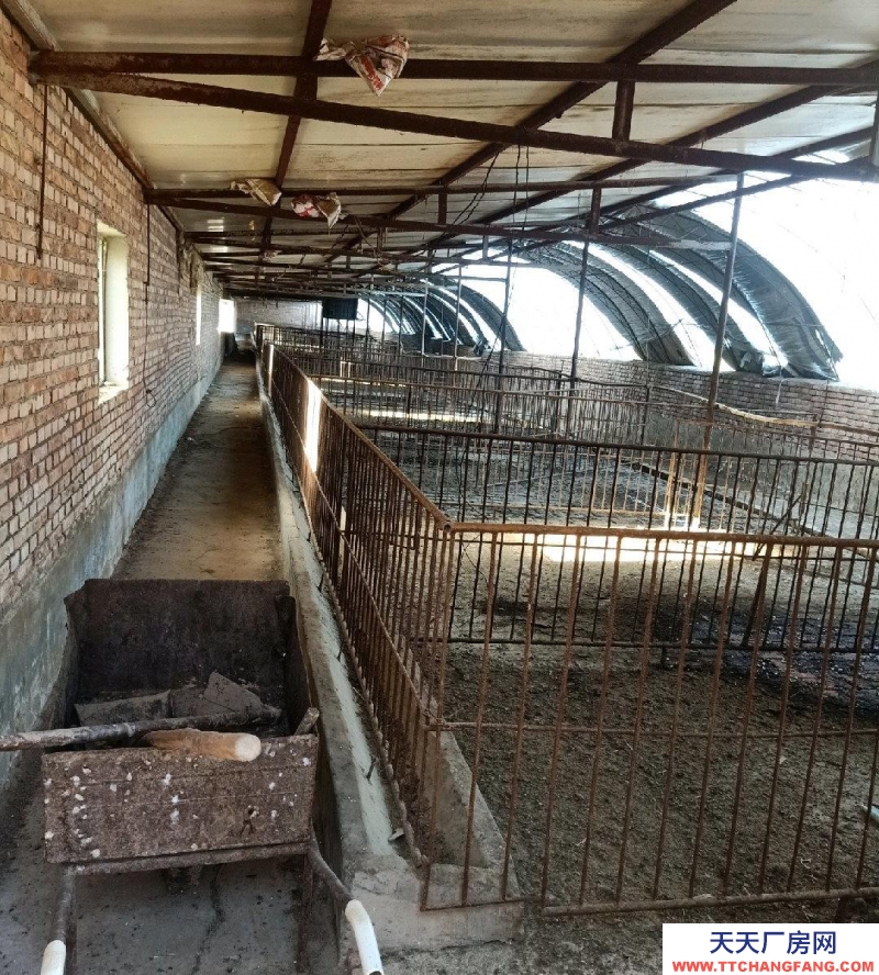 (出售) 赤峰適合養豬 養牛其他的也可以