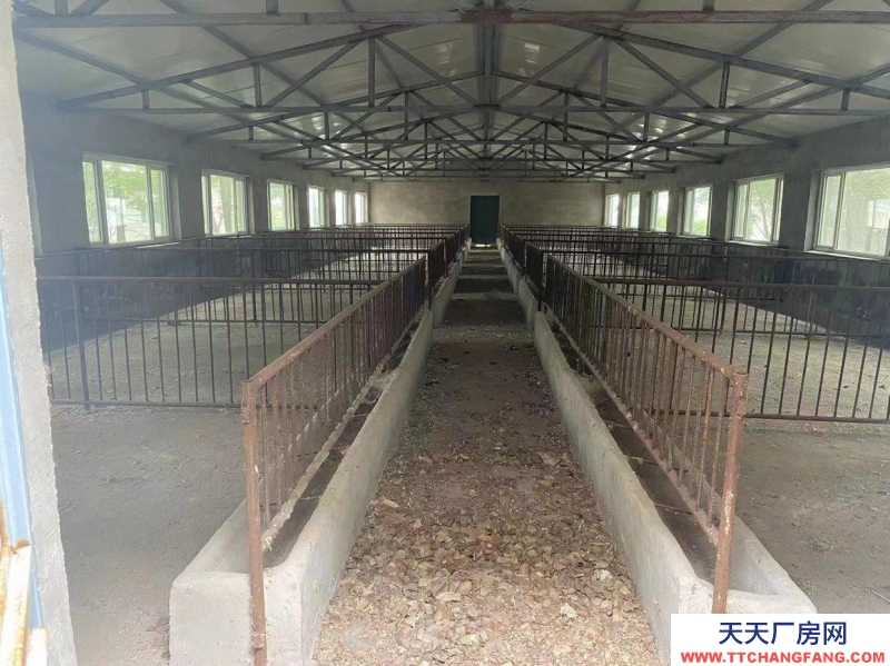 (出售) 松山區(qū)安慶鎮(zhèn)有一養(yǎng)殖場出售