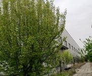 (出租) 駐馬店上蔡蔡州大道路北,交通方便,附近工業群繁榮。