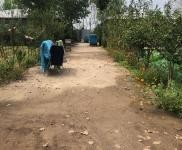 (出租) 駐馬店上蔡交通便利，環境優美，可做廠房，倉庫，農家樂