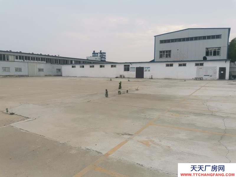 滄州 滄縣(出售) 滄州滄縣開曙街10號63871平食糖制品廠房出售