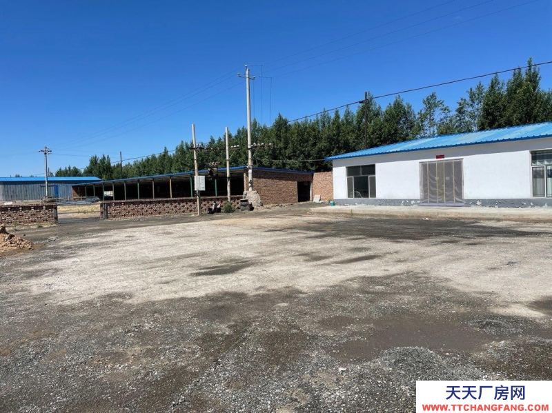 (出售) 赤峰養殖場 出售元寶山，新建牛場全新設備