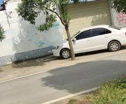 (出租) 駐馬店平輿自己老家廠房，個人土地約2000平，獨立變壓器