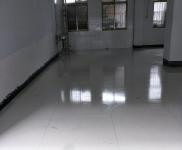 (出租) 駐馬店平輿后面有獨立小院。