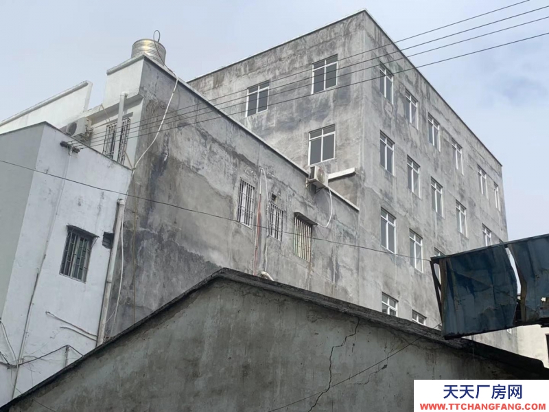 (出租) 潮州湘橋區出租湘橋區塔腳路廠房可做汽修廠倉庫