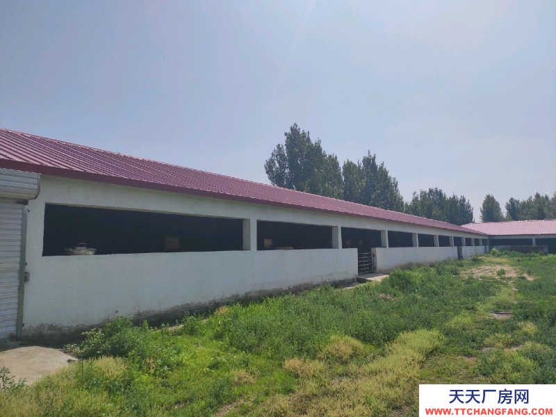 (出售) 赤峰翁牛特旗撿漏!超低價(jià)急售,劃撥,方正豪華,配套齊全,應(yīng)有盡有。