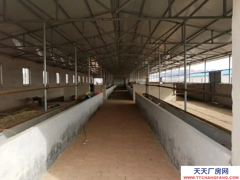 (出租) 赤峰條件好，交通便利。適合養(yǎng)牛，羊等。價(jià)格可以面議