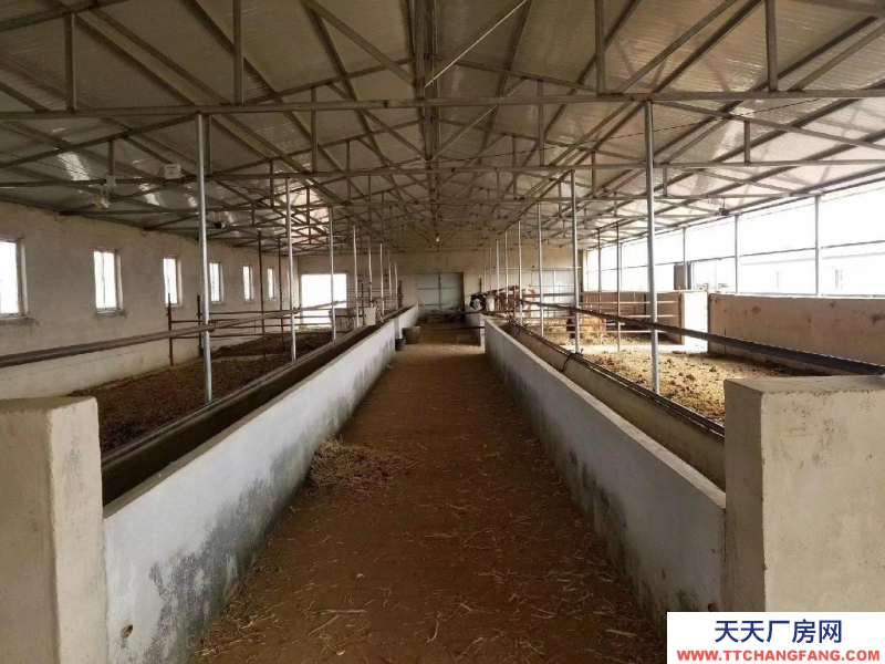 (出租) 赤峰條件好，交通便利。適合養(yǎng)牛，羊等。價格可以面議