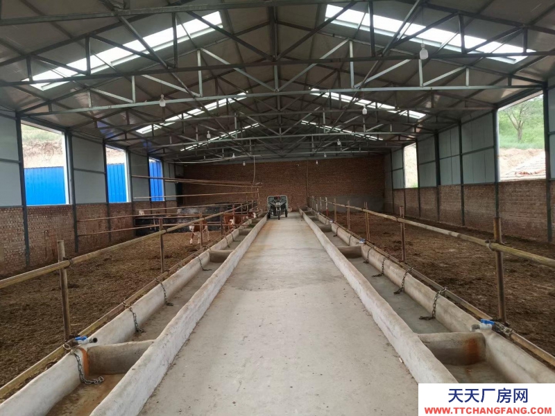 (出租) 赤峰出租出售養(yǎng)殖場(chǎng)地，宿，水電網(wǎng)齊全