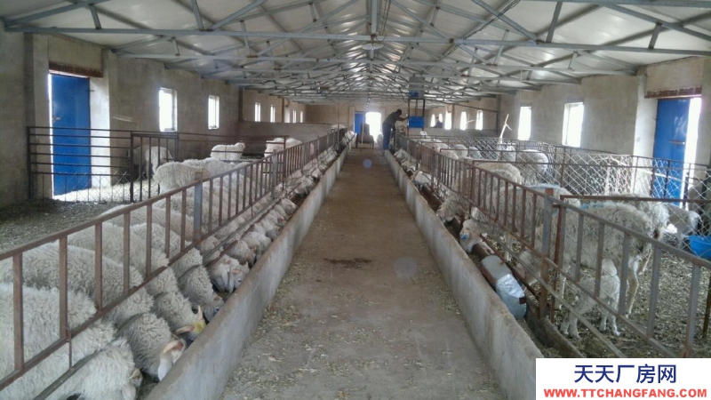 (出售) 內蒙赤峰敖漢旗養殖場低價轉讓