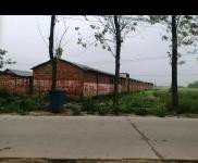 (出租) 駐馬店正陽可加工，種養植都行，可長期合作共贏，