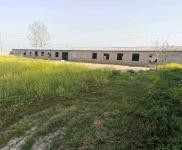 (出租) 駐馬店平輿養殖場，可養殖豬牛羊