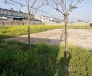 (出租) 駐馬店平輿養殖場，可養殖豬牛羊