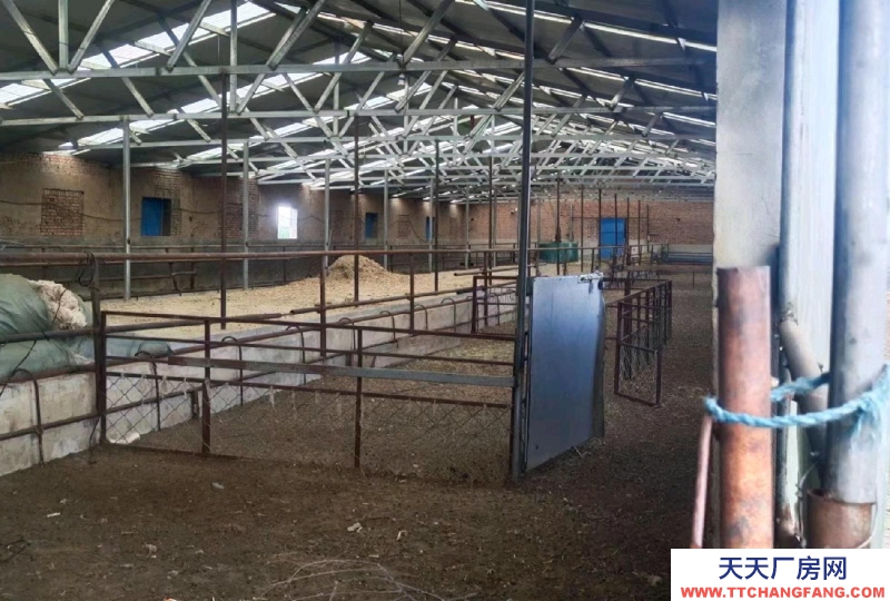 (出售) 赤峰林西 平房大院，院里有廠房，自來水，井水，電。