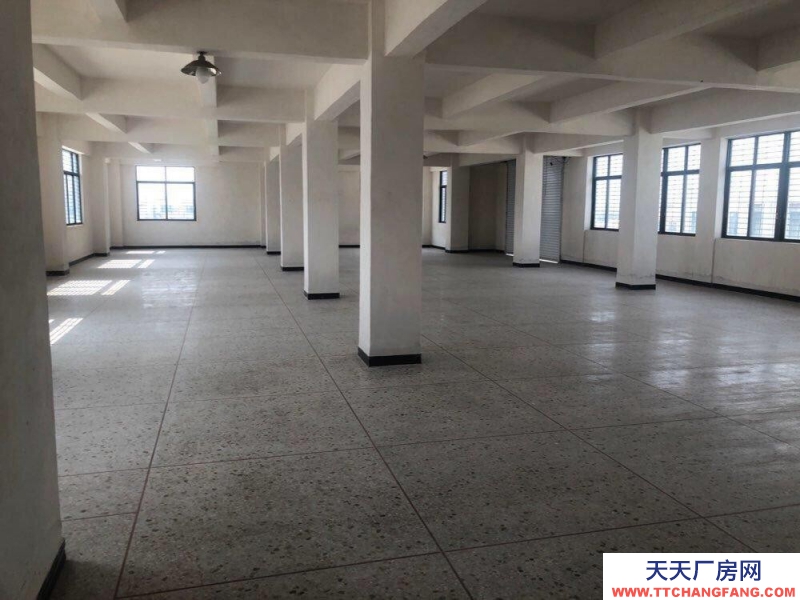 (出租)潮州潮安鸛一潮汕公路旁 倉庫出租 電商倉庫