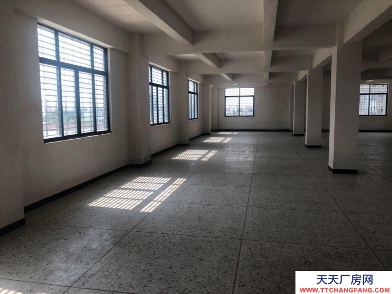 (出租)潮州潮安鸛一潮汕公路旁 倉(cāng)庫(kù)出租 電商倉(cāng)庫(kù)