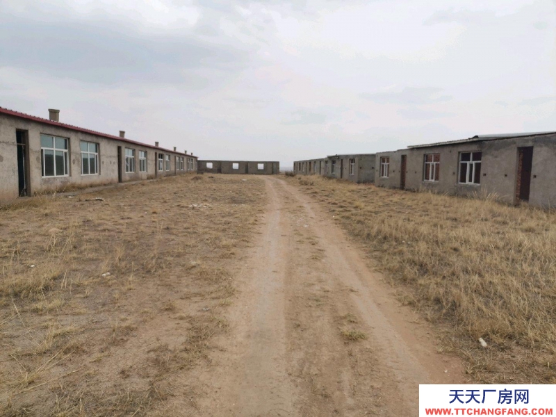 (出售) 鄂爾多斯500畝土地，6千平房，倉庫，棚圈，