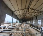 (出租)駐馬店沁陽 手續齊全，交通便利，環境保護證，可養殖。