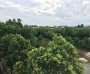 (出租) 駐馬店泌陽縣泰山三官廟 養(yǎng)家禽場(chǎng)地