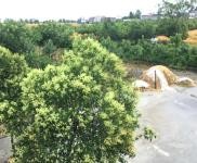 (出租) 駐馬店泌陽縣泰山三官廟 養(yǎng)家禽場(chǎng)地