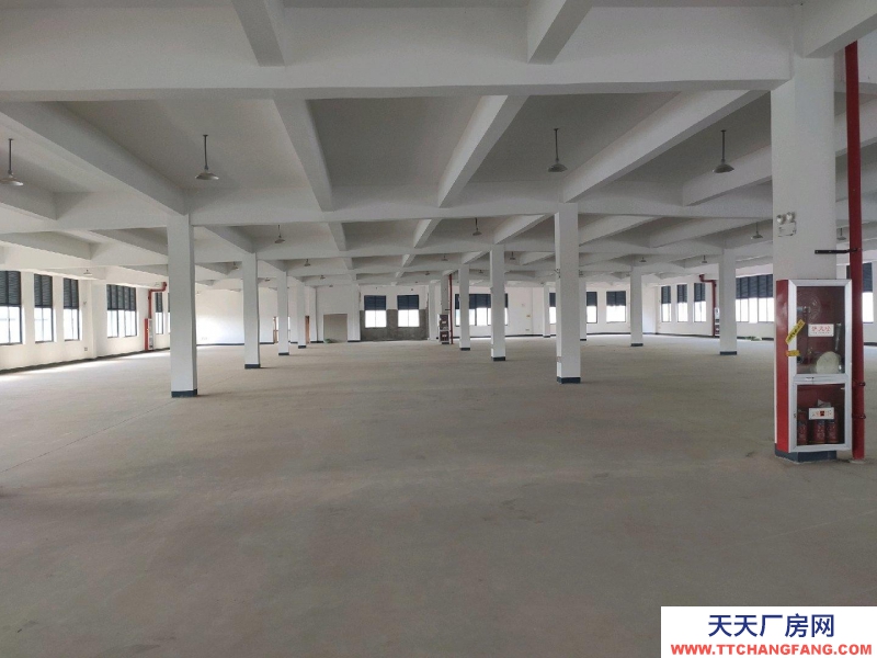 衢州市龍游(出租) 二層獨(dú)棟,占地2200左右 水果制品