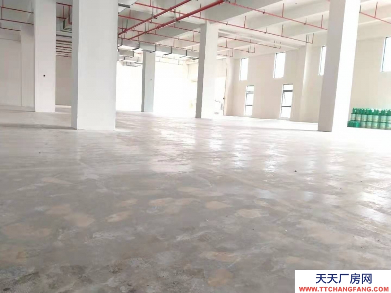 衢州市龍游(出租) 現(xiàn)房廠房出租 單一層 2000平左右 特殊膳食食品