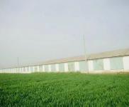 (出租)駐馬店遂平 環(huán)境優(yōu)美，地理位置優(yōu)越