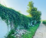 (出租)駐馬店遂平 環境優美，地理位置優越