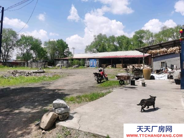 梨樹區內交通方便，場地大，可用作木材加工，也可用于存放貨物。