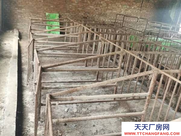 興安260平養(yǎng)豬場接手就能用，帶100平平房