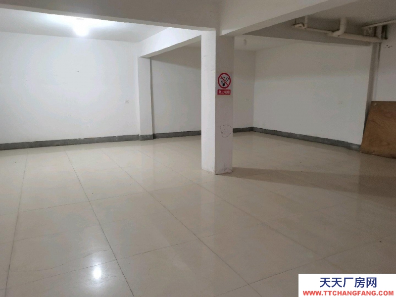 衢州市龍游(出租) 自建民房,地下坡道倉(cāng)庫(kù)。