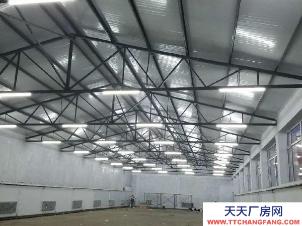 興安 南僑附近 倉庫 20000平米