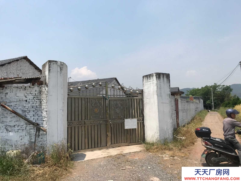 衢州市龍游(出租) 龍游縣塔石鎮葉家村馬坡山場地及1幢房屋出租